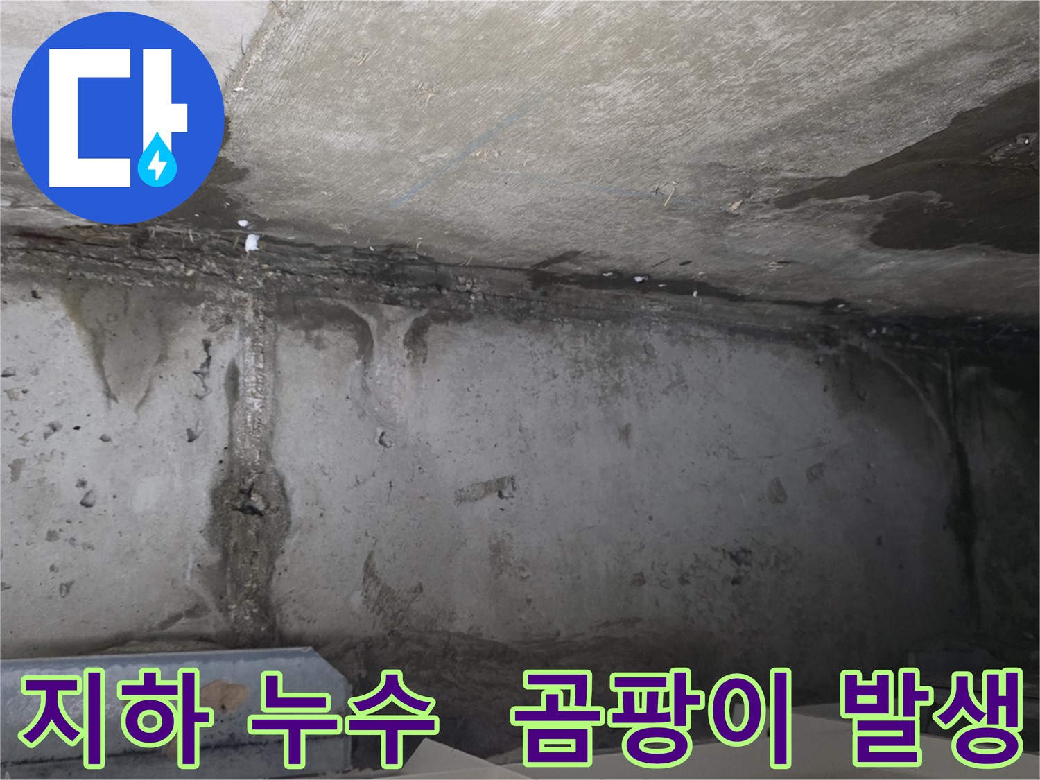 남양주 건물 지하 누수 - 곰팡이
