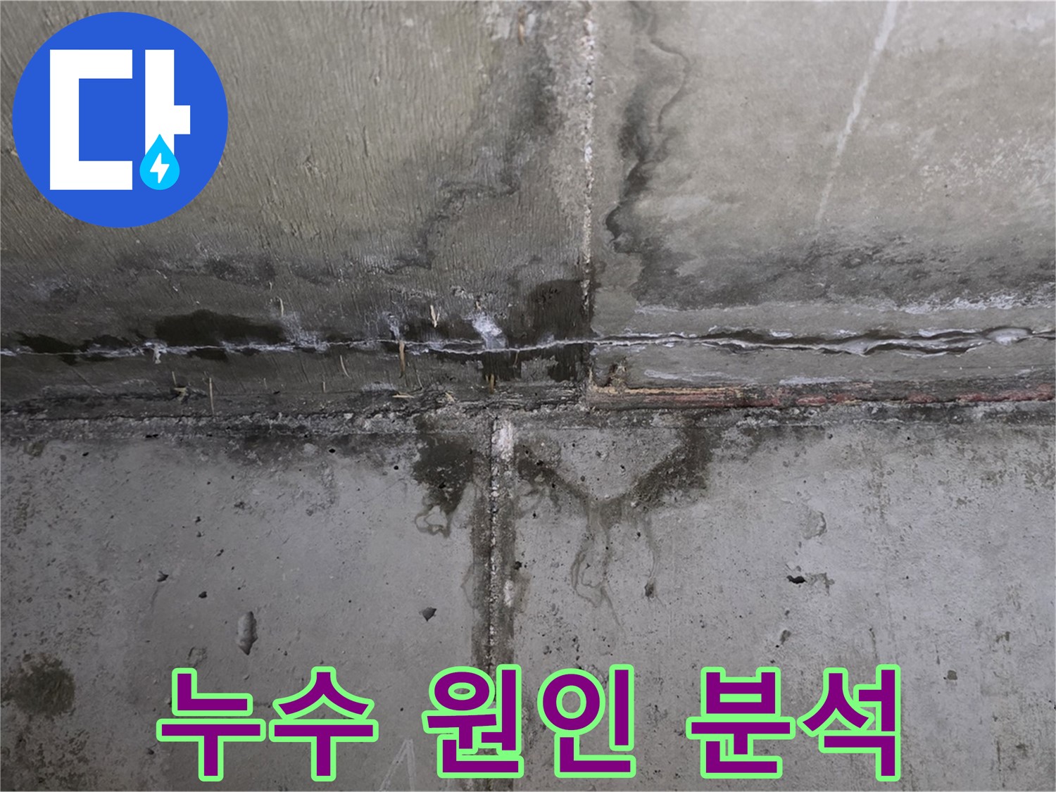 남양주 오남읍 두산아파트 천장 누수 - 정확한 원인 분석