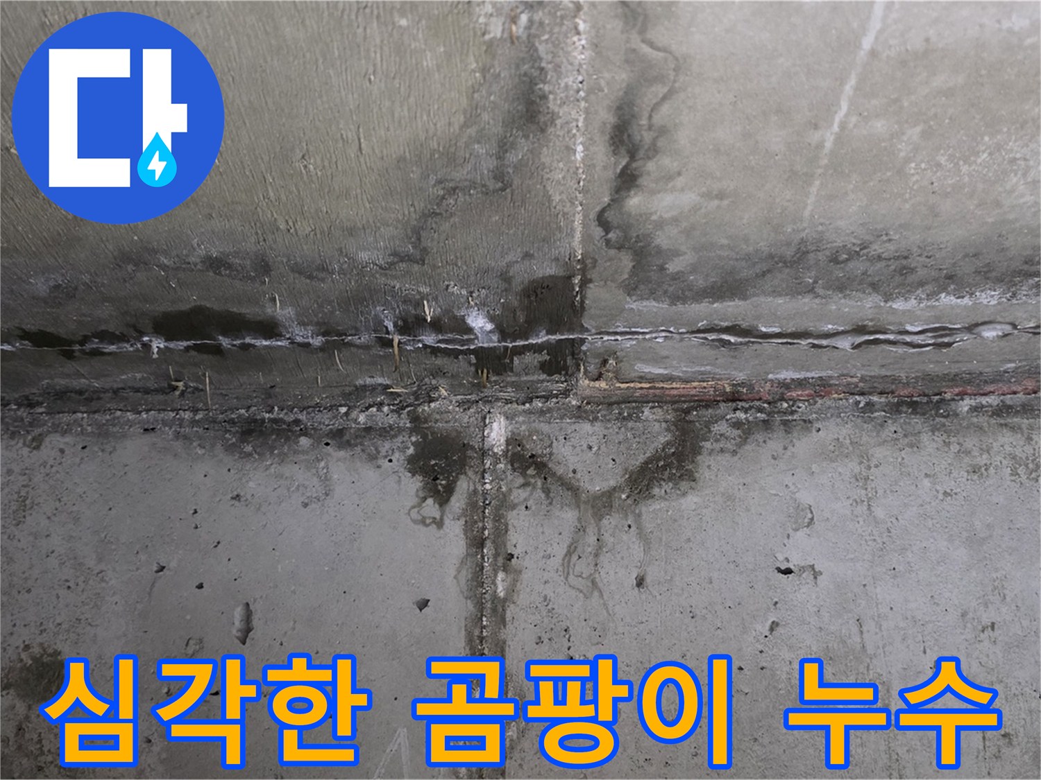 남양주 오남읍 아파트 누수 현장 - 곰팡이 발생 부위 확인