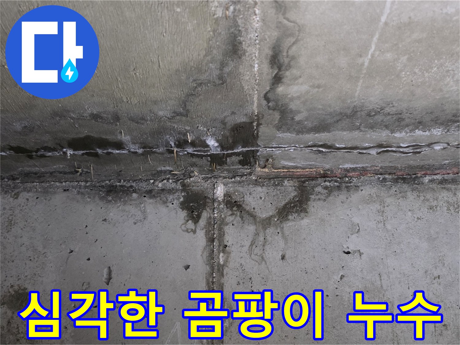 남양주 오남읍 아파트 누수 현장 - 곰팡이 발생 부위 확인