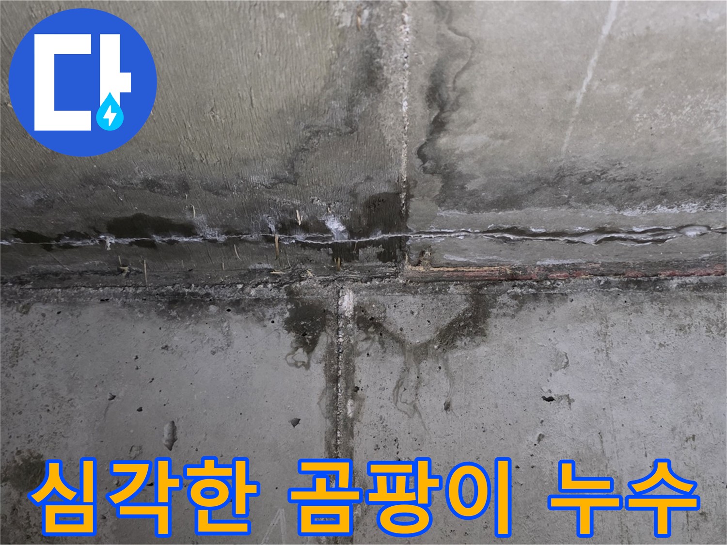 남양주 오남읍 아파트 누수 현장 - 곰팡이 발생 부위 확인