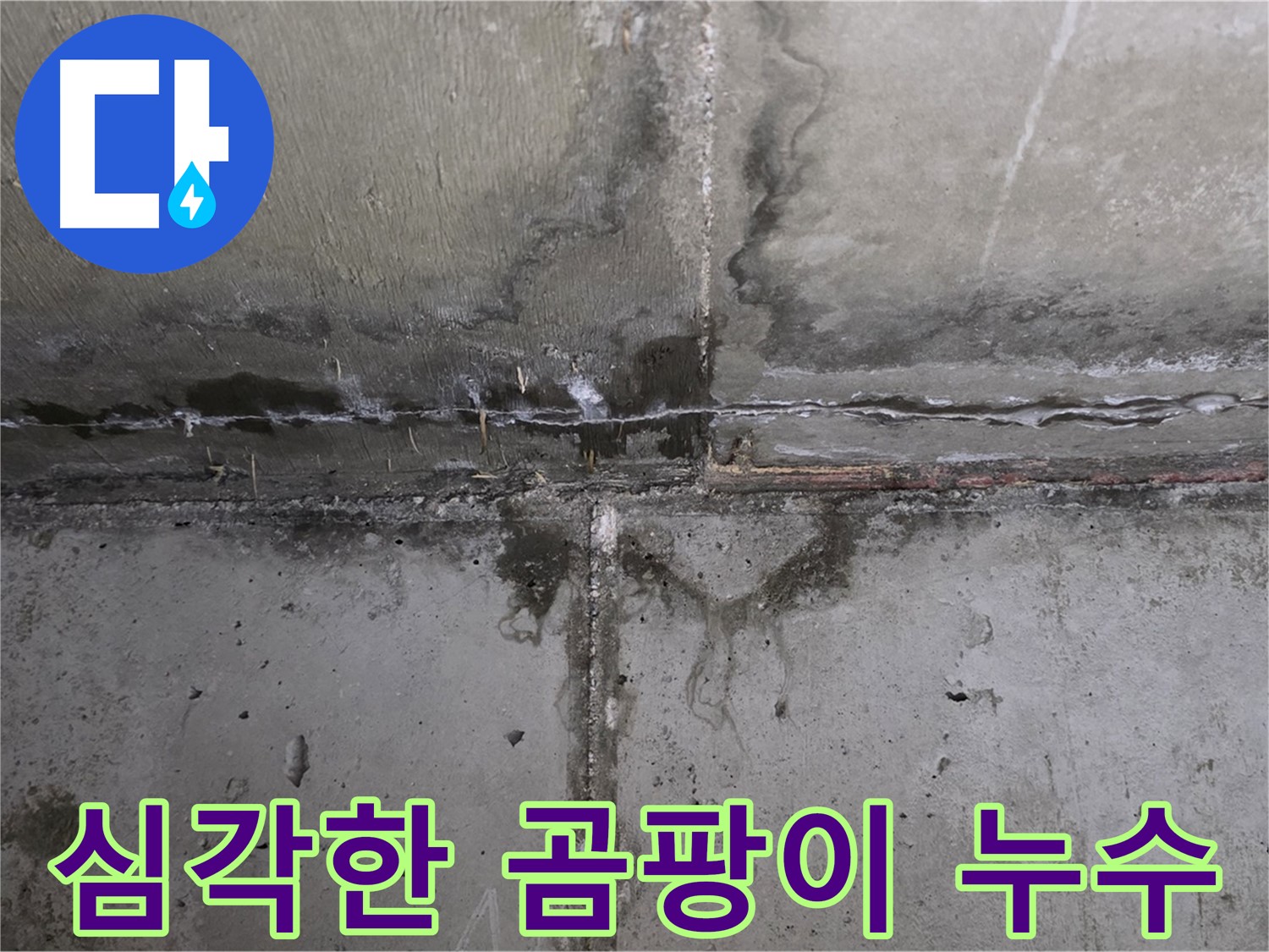 남양주 오남읍 아파트 누수 현장 - 곰팡이 발생 부위 확인