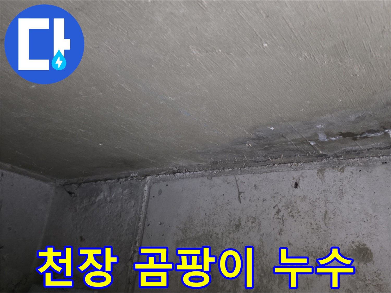 남양주 오남읍 아파트 천장 곰팡이 - 누수 흔적