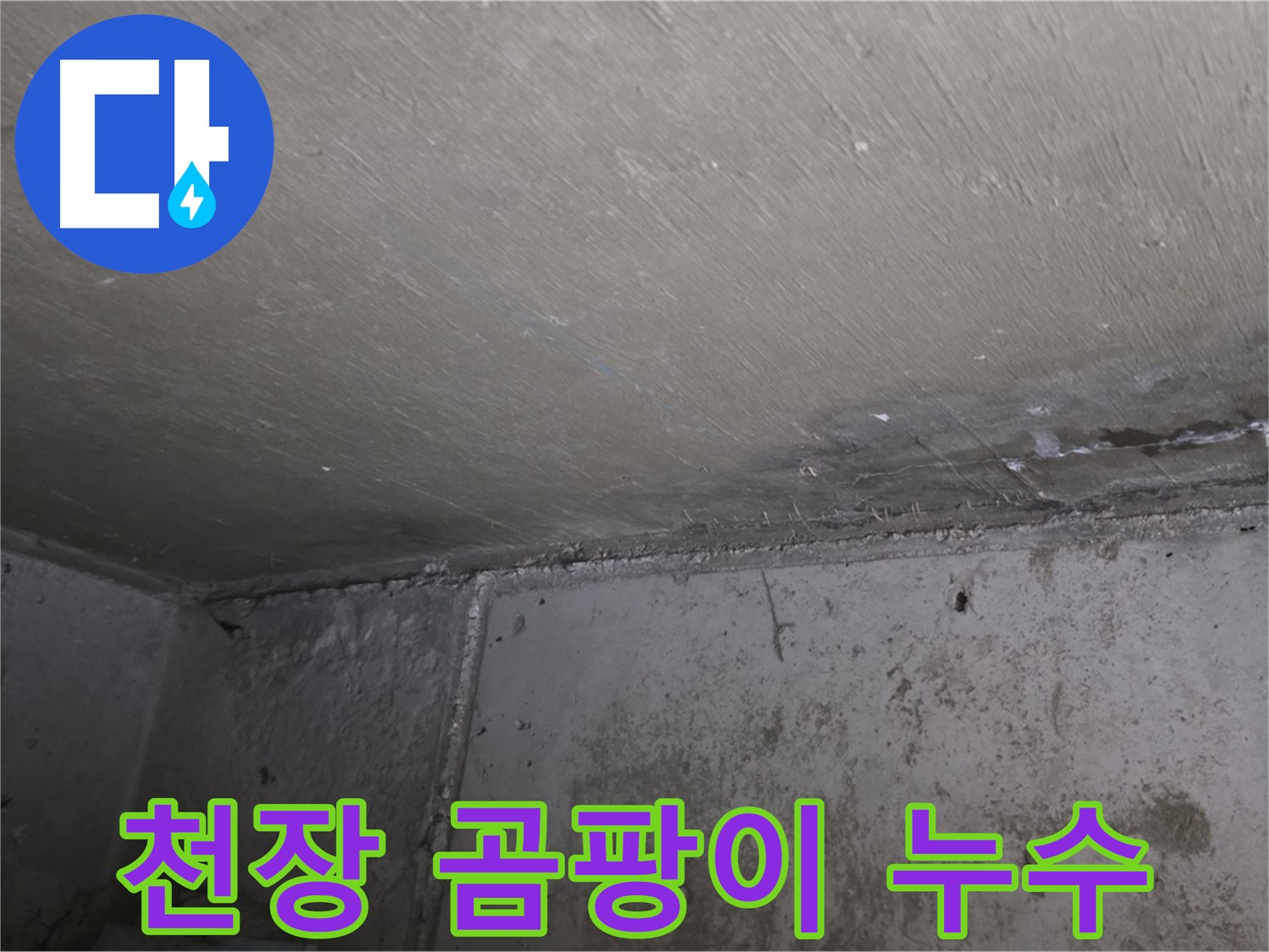 남양주 오남읍 아파트 천장 곰팡이 - 누수 흔적
