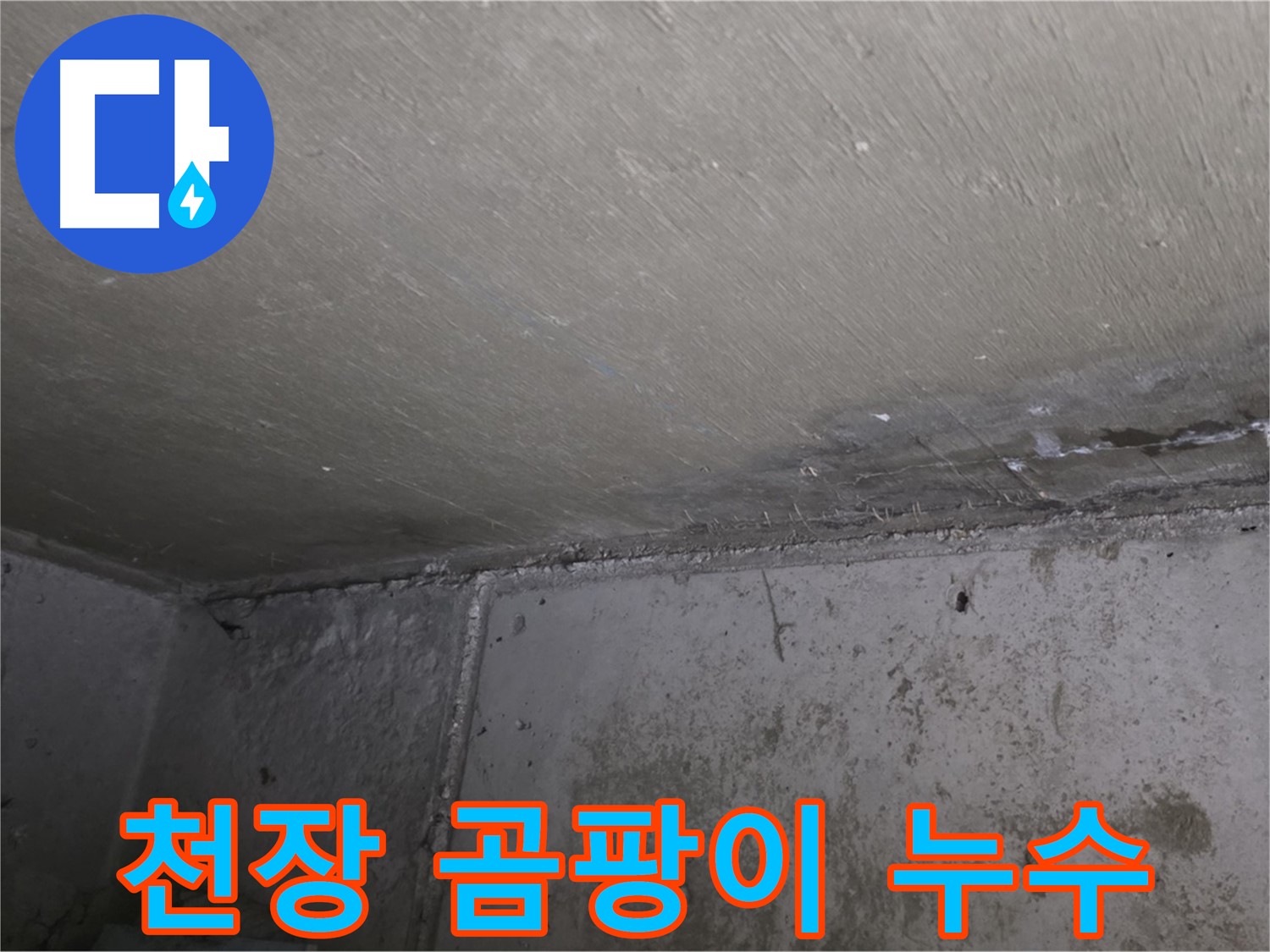 남양주 오남읍 아파트 천장 곰팡이 - 누수 흔적
