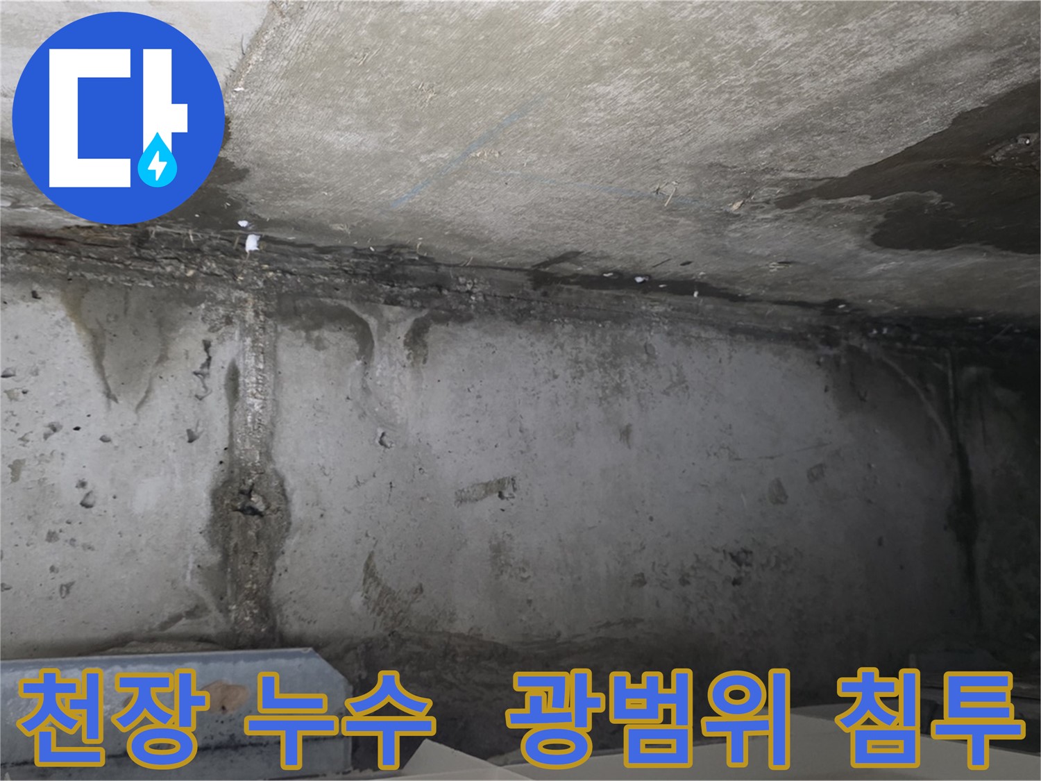 남양주 오남읍 아파트 천장 누수 현장 사진