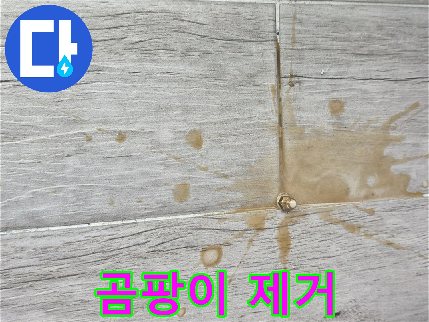 마루 곰팡이 제거 후 인젝션 방수 시공
