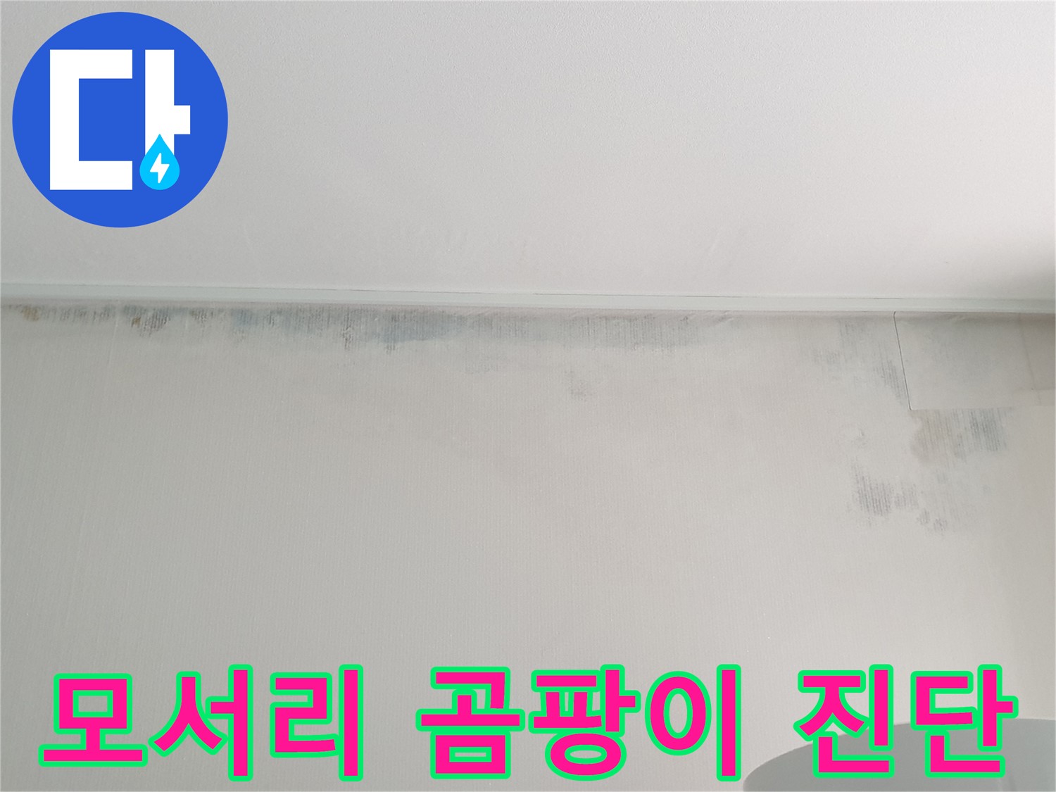 중계3동 청구3차 아파트 - 벽 모서리 곰팡이 누수 진단