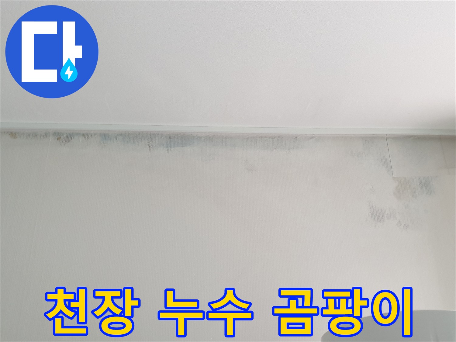 중계동 아파트 천장 곰팡이 - 누수 흔적으로 인한 문제