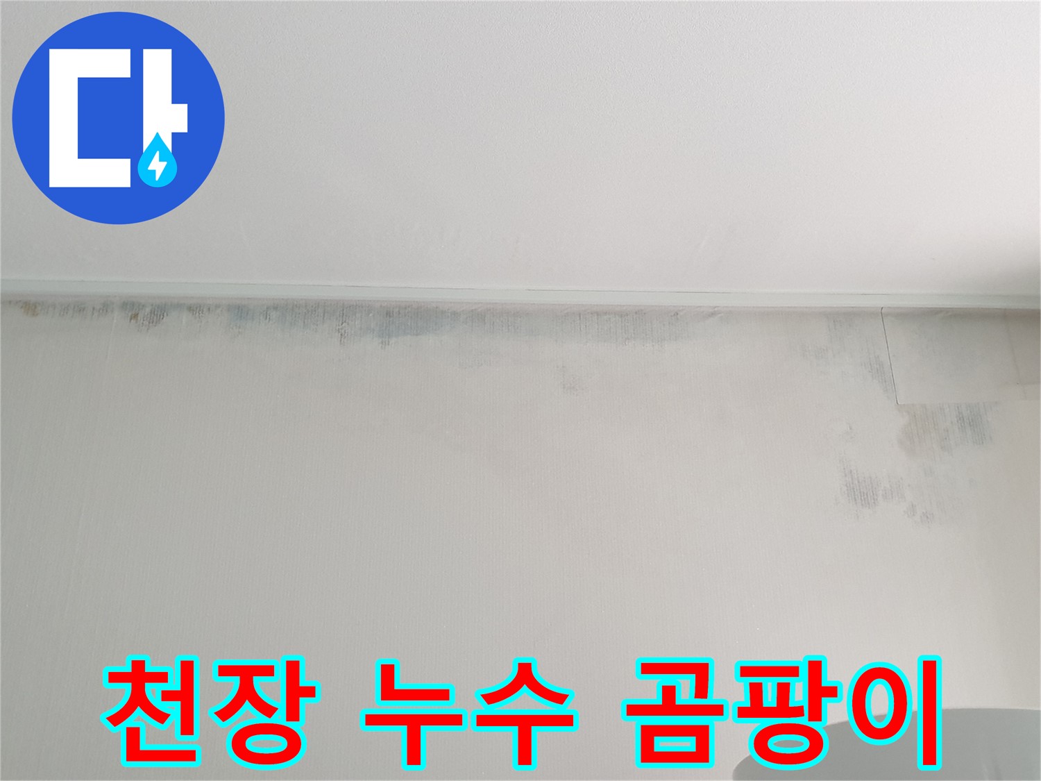 중계동 아파트 천장 곰팡이 - 누수 흔적으로 인한 문제
