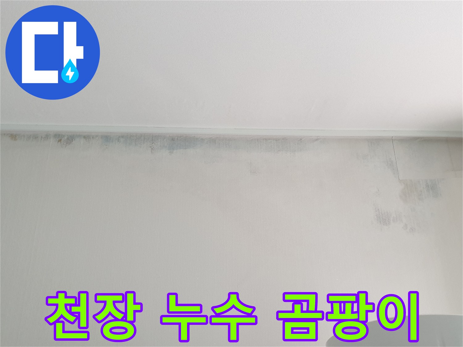 중계동 아파트 천장 곰팡이 - 누수 흔적으로 인한 문제