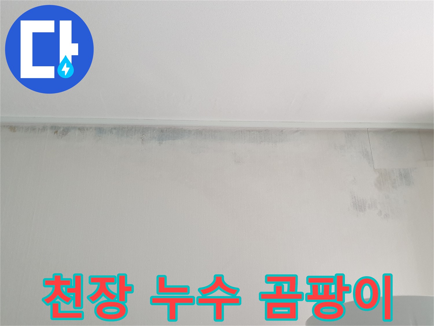 중계동 아파트 천장 곰팡이 - 누수 흔적으로 인한 문제