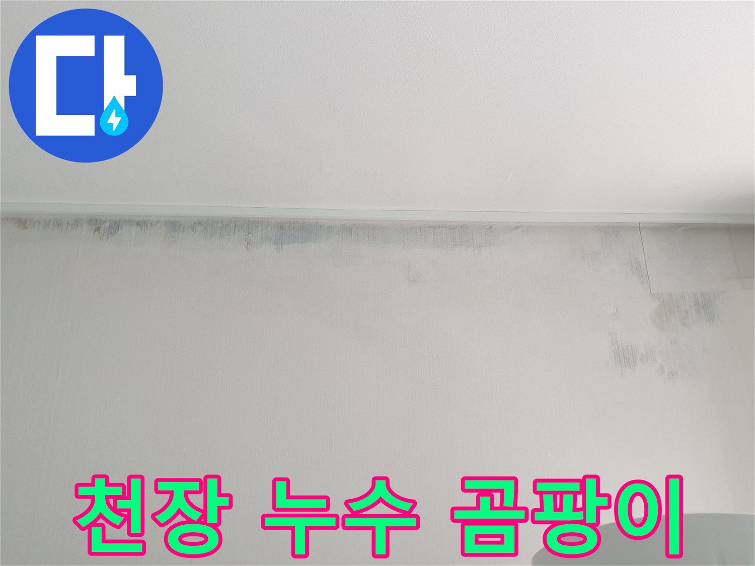 중계동 아파트 천장 곰팡이 - 누수 흔적으로 인한 문제