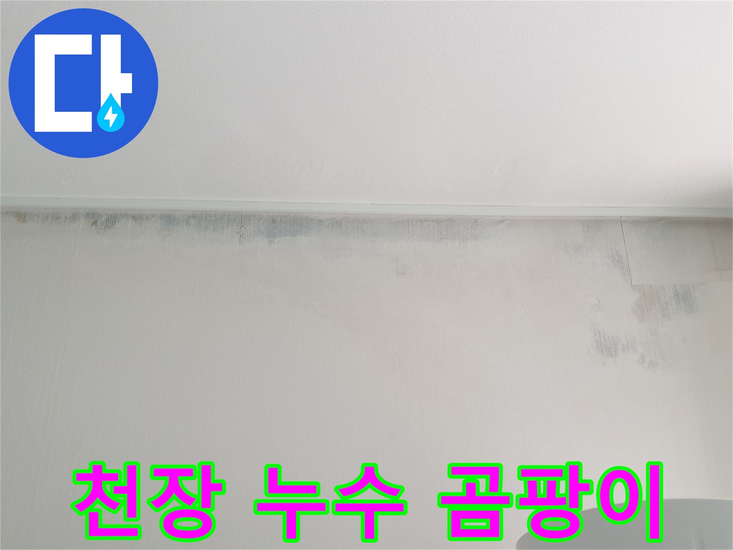 중계동 아파트 천장 곰팡이 - 누수 흔적으로 인한 문제