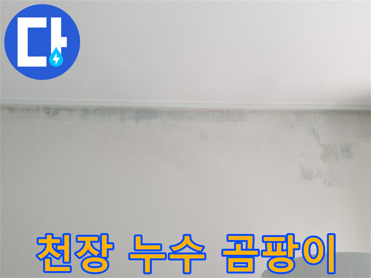 중계동 아파트 천장 곰팡이 - 누수 흔적으로 인한 문제