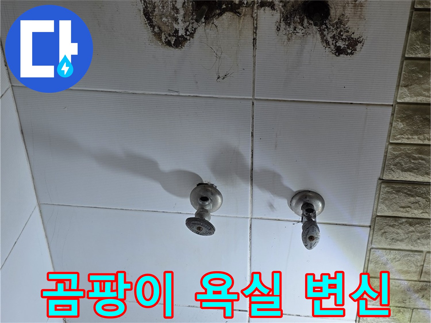 상계동 곰팡이 가득한 욕실 - 누수 문제를 해결하고 깨끗하게 변신시켜 드립니다.