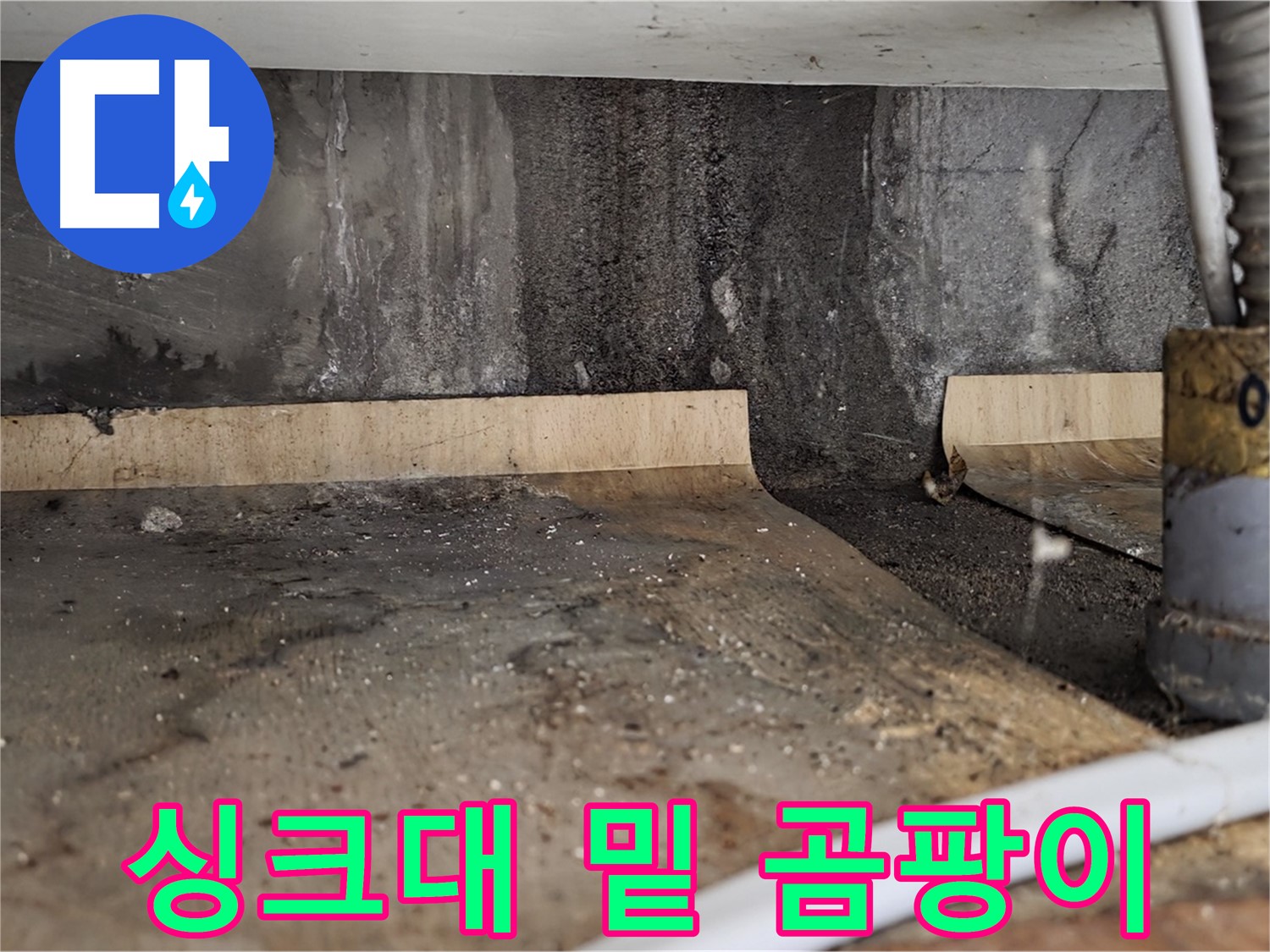 싱크대 밑 누수 - 곰팡이 포자 주의