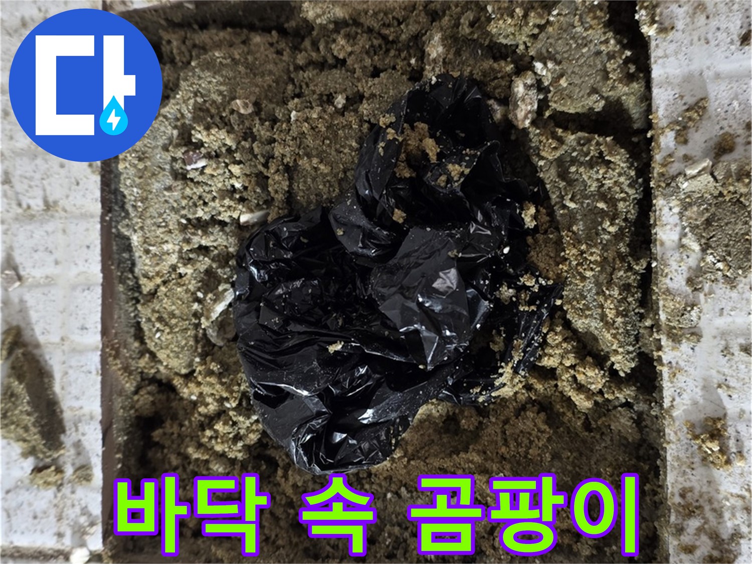 과천 문원동 세인트빌 누수 - 굴착 후 곰팡이 발견
