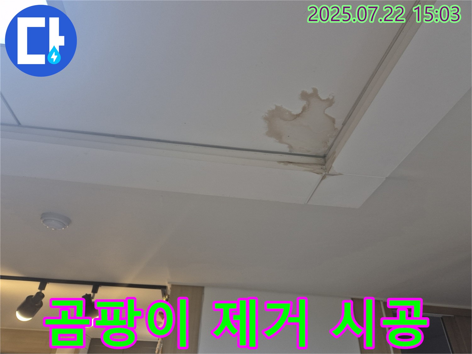 일산 가좌동 누수 - 곰팡이 제거, 깨끗한 환경