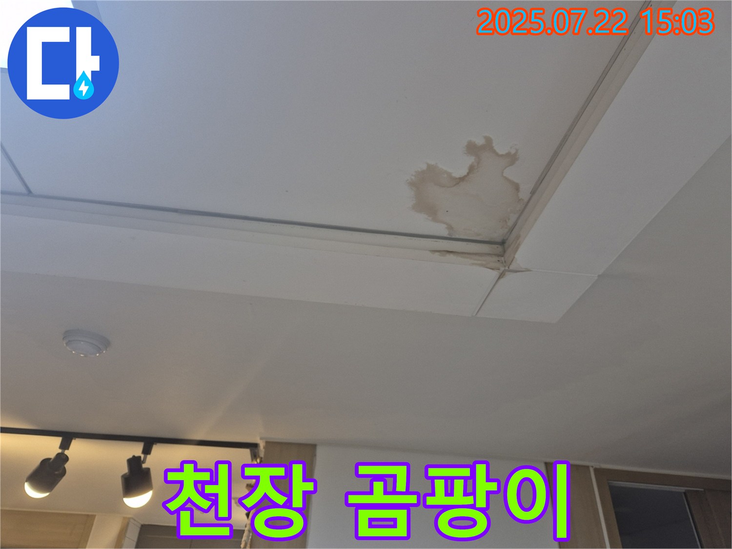 일산 가좌동 누수 - 곰팡이 핀 천장, 건강 위협