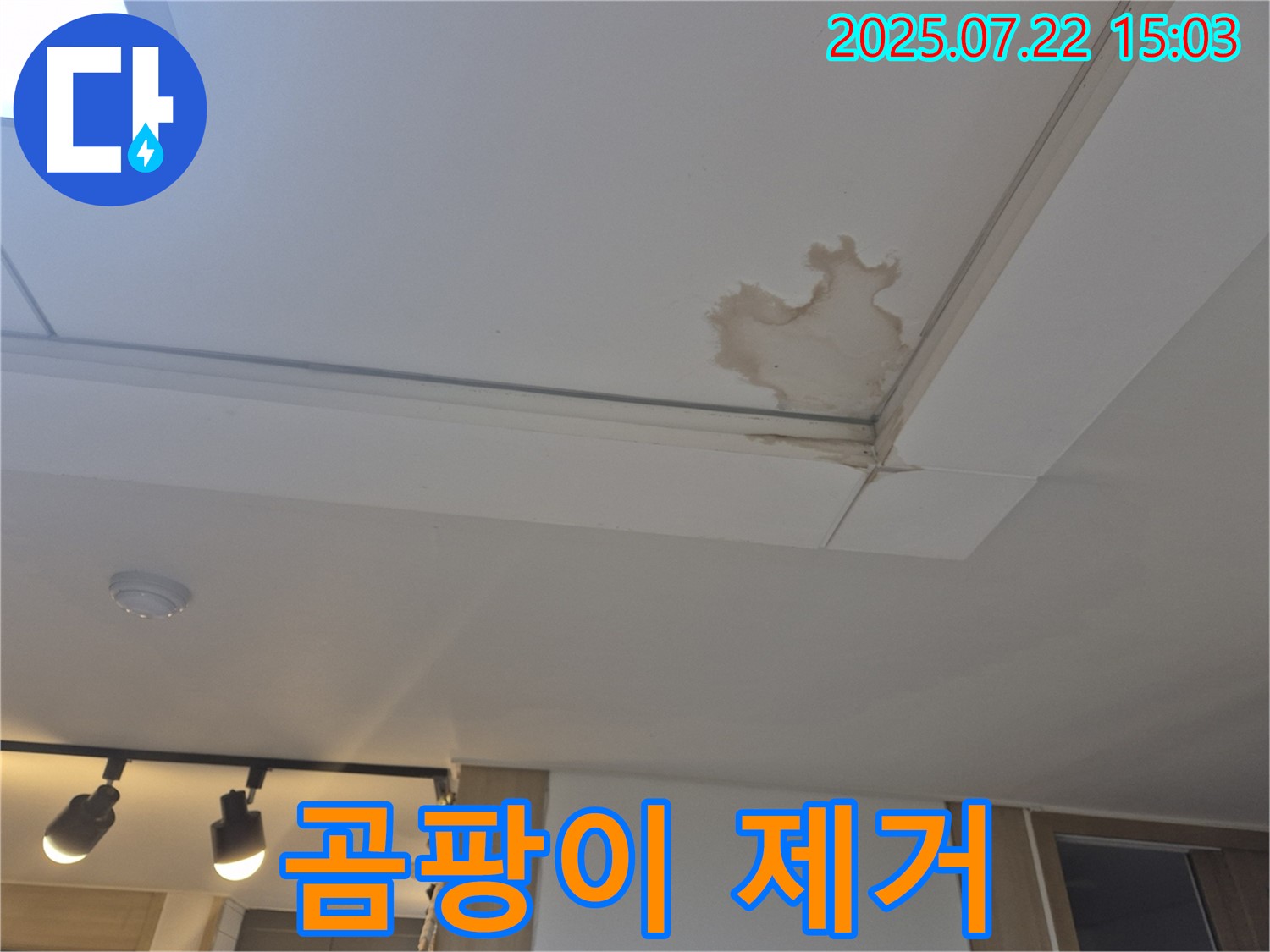 일산 가좌동 누수 - 누수 부위 곰팡이 제거, 깨끗하게
