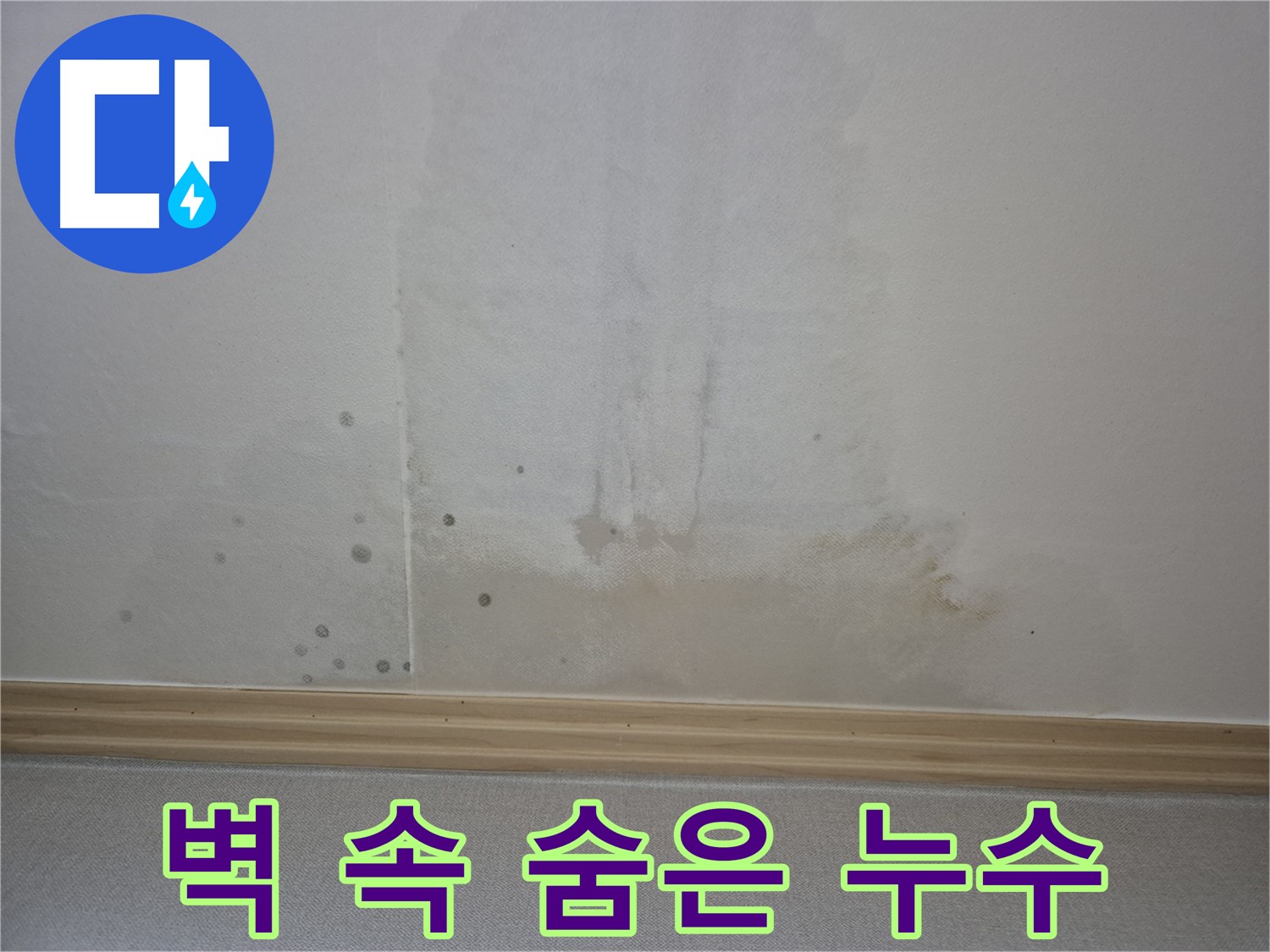 첨단 누수 탐지 장비 - 벽 속 숨은 누수를 찾아내는 모습