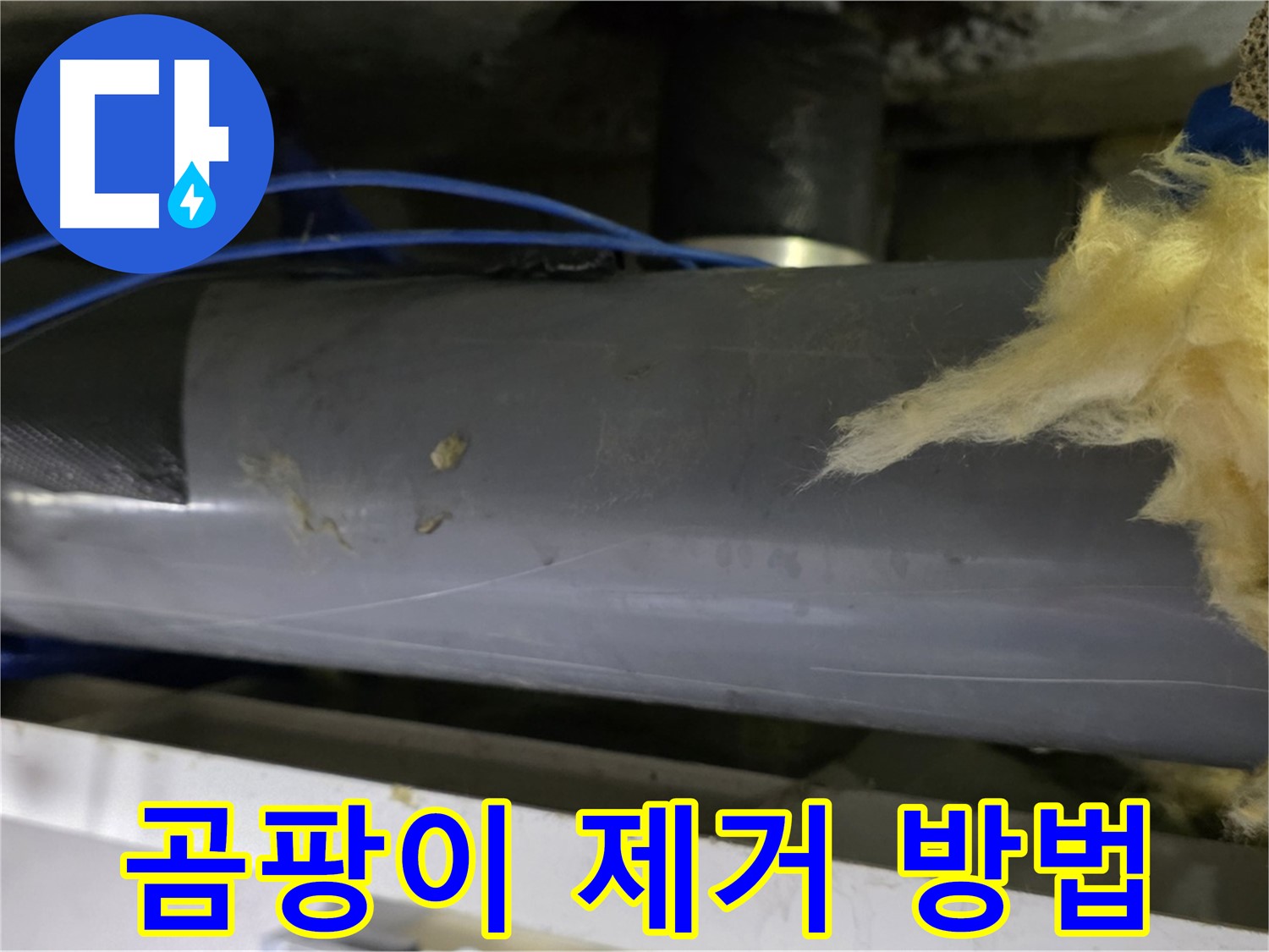 결로 발생 시 곰팡이 제거 - 청소 및 환기