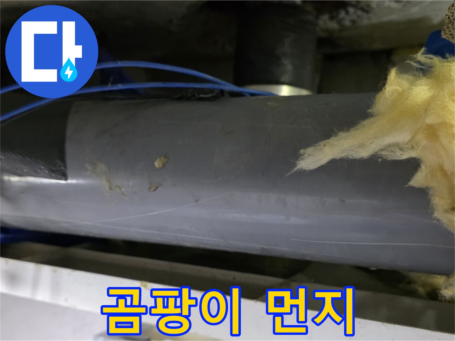 곰팡이와 먼지로 뒤덮인 보온재