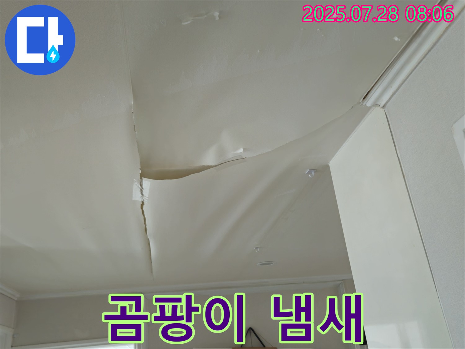 화도읍 두산아파트 천장 누수 - 벽지 곰팡이 냄새