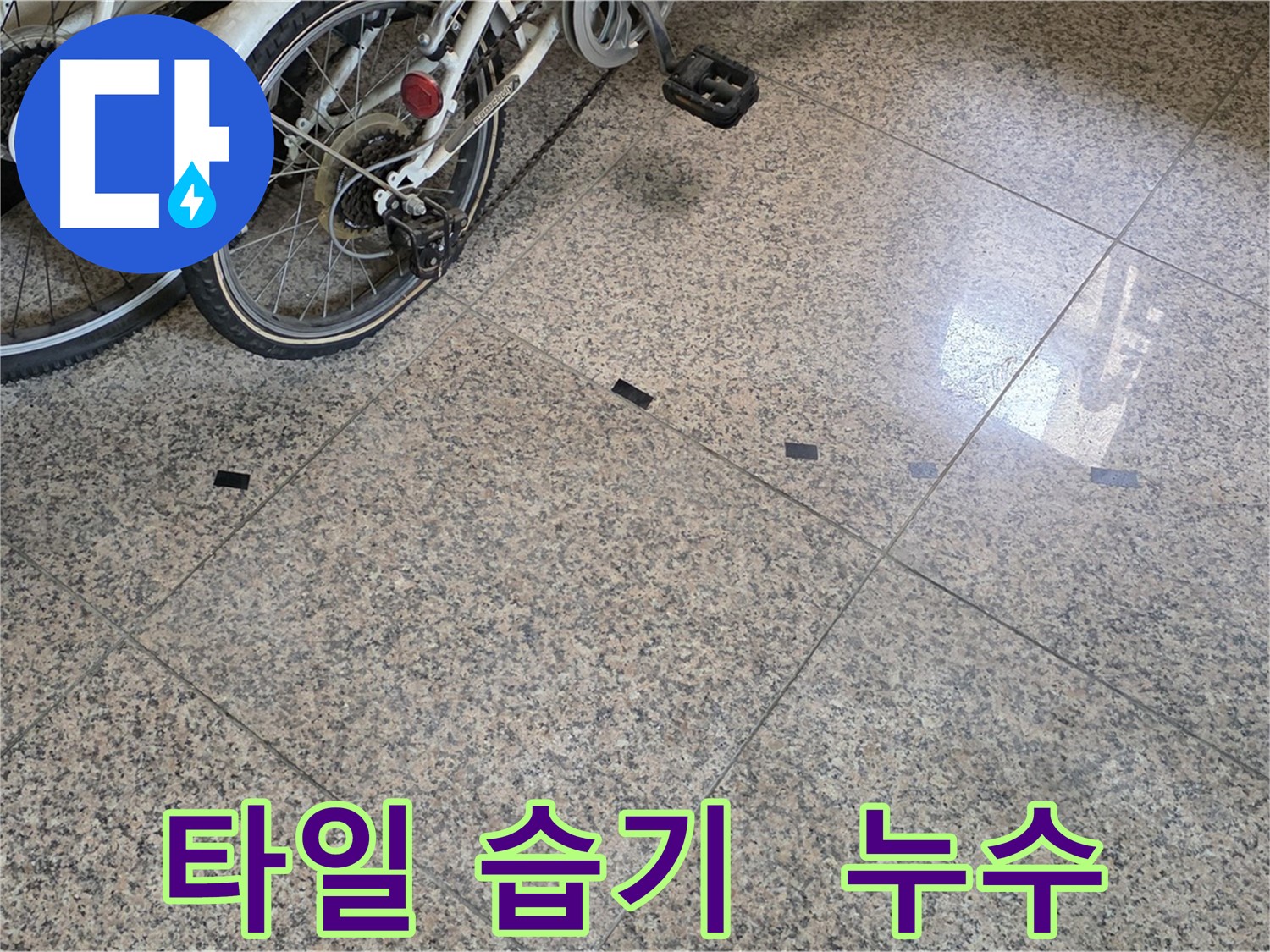 고양시 덕양구 누수 - 대리석 타일 사이 습기 흔적 발견