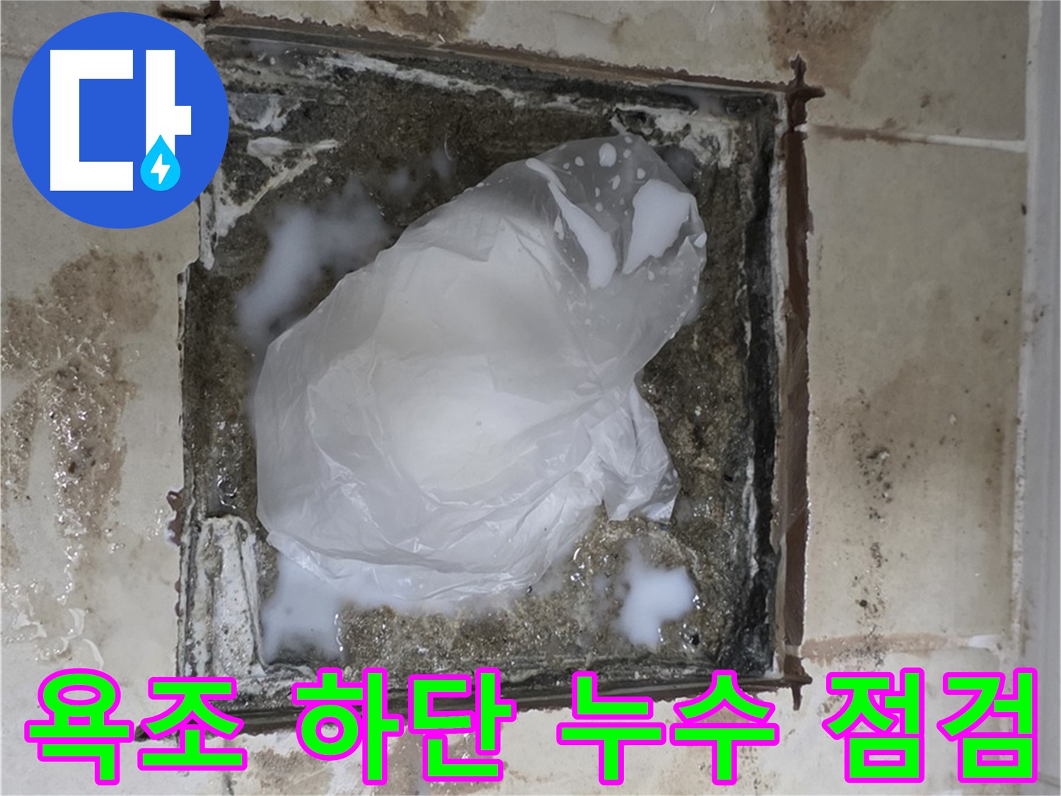 고양시 덕양구 동산동 욕조 하단 누수 긴급 점검 및 건물 손상 방지