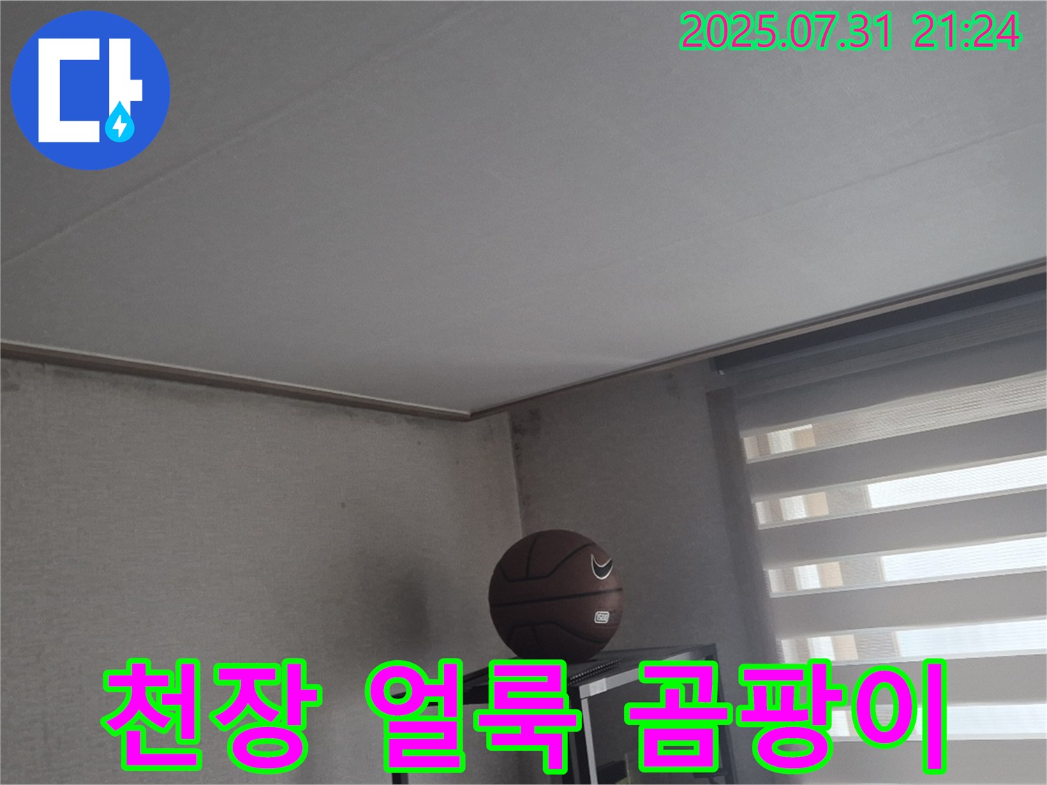 고양시 덕양구 동산동 천장 누수 - 얼룩과 곰팡이 초기 증상