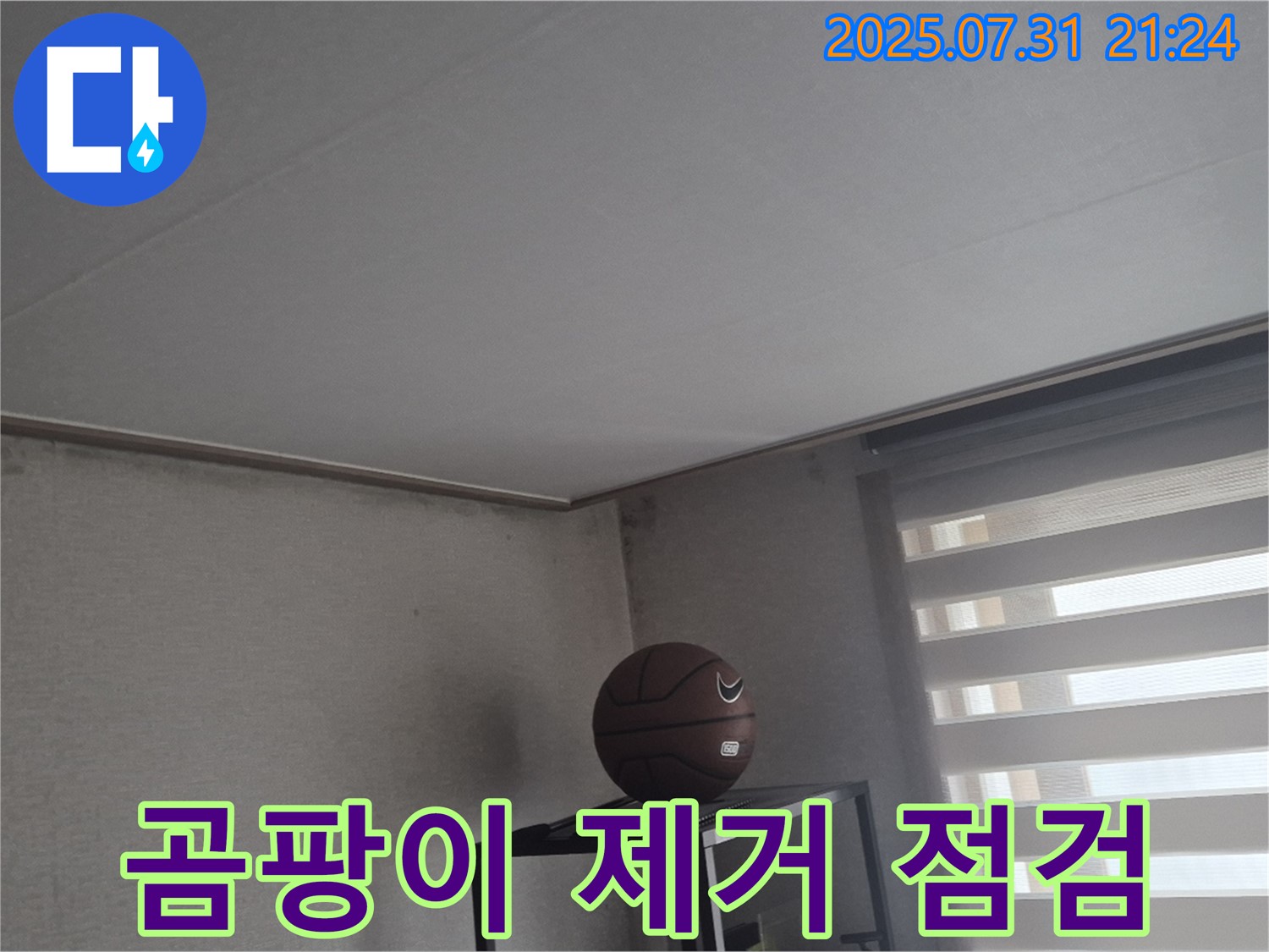 고양시 덕양구 천장 누수 - 곰팡이 제거 전문 업체