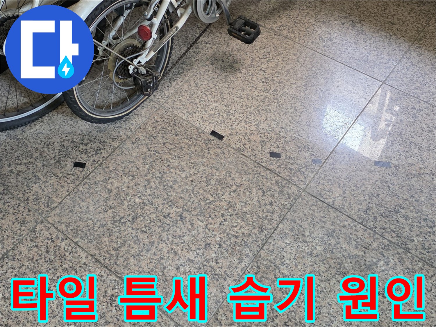 고양시 누수 - 대리석 타일 틈새 습기, 원인 분석 중