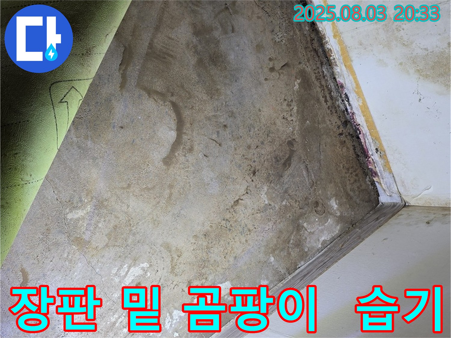 가회동 주택 - 장판 밑 곰팡이, 습기 가득