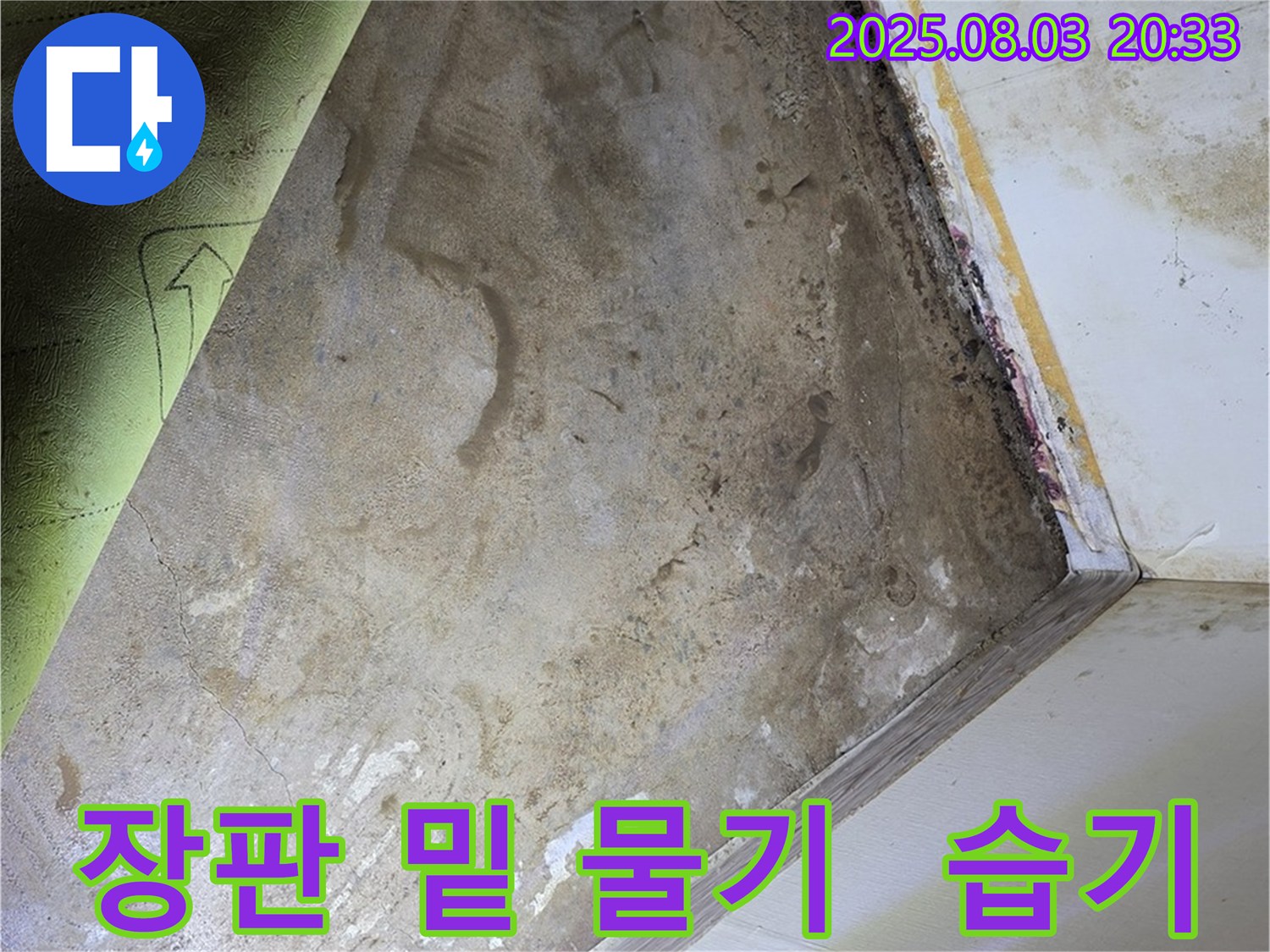가회동 주택 - 장판 밑 물기, 습기 확인