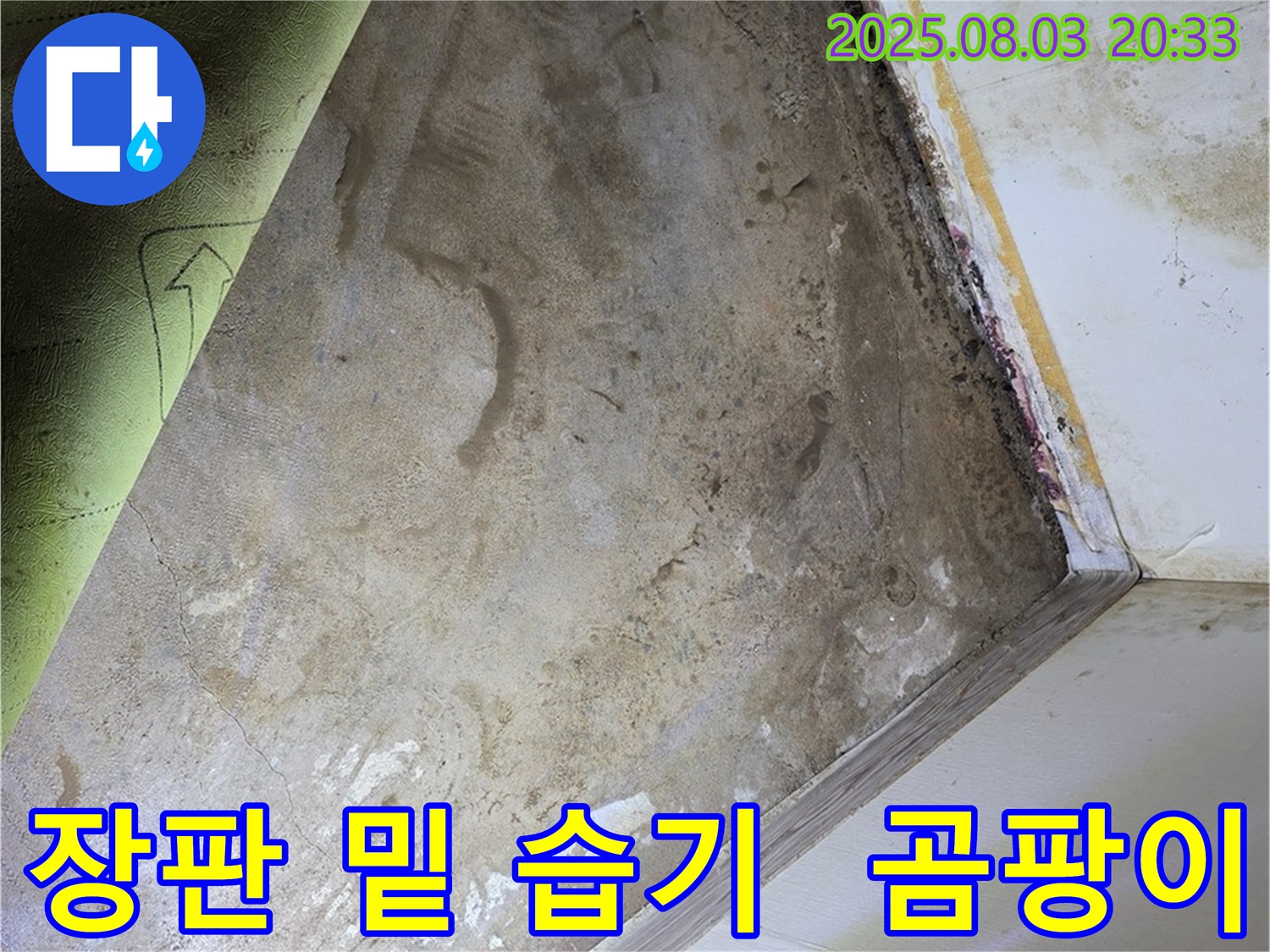 가회동 주택 - 장판 밑 습기, 곰팡이 발생