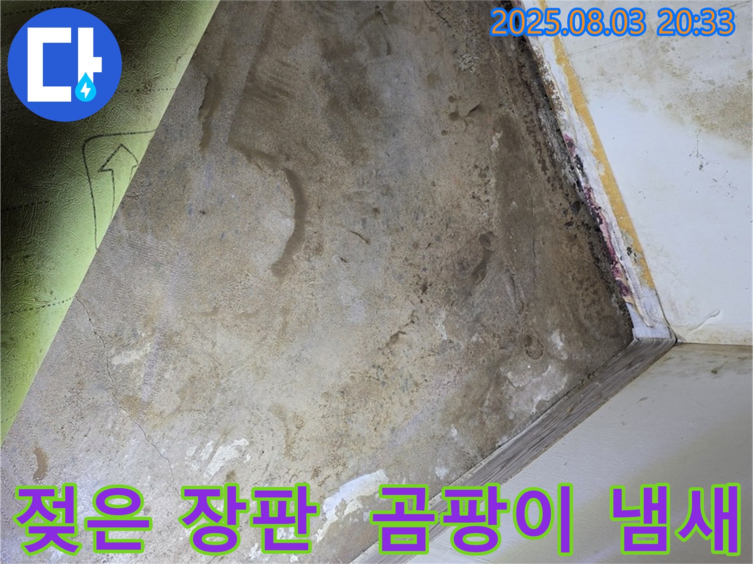가회동 주택 - 젖은 장판, 곰팡이 냄새 심각