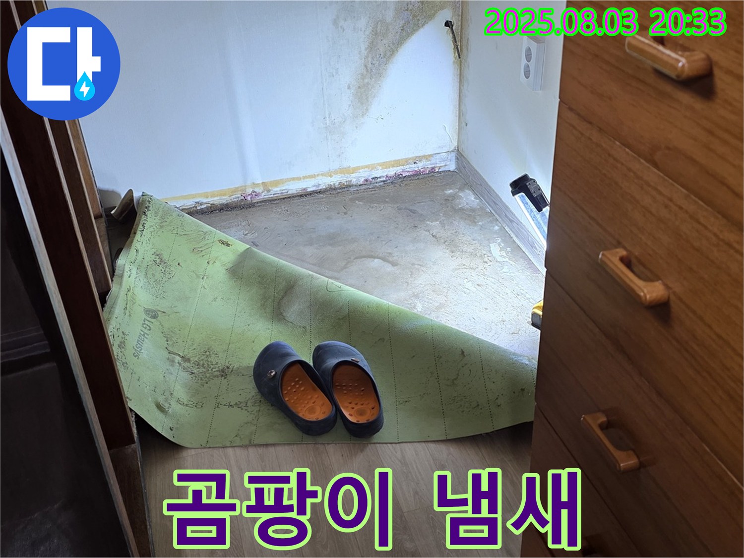 곰팡이 냄새 - 누수 의심 신호