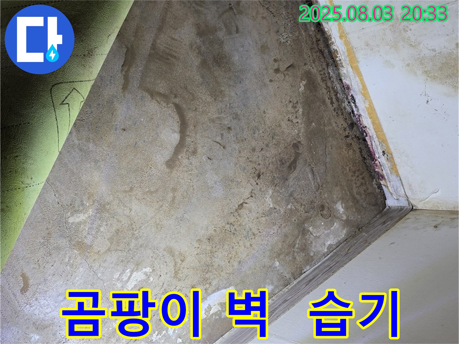 곰팡이 핀 벽 - 습기 가득한 누수 현장