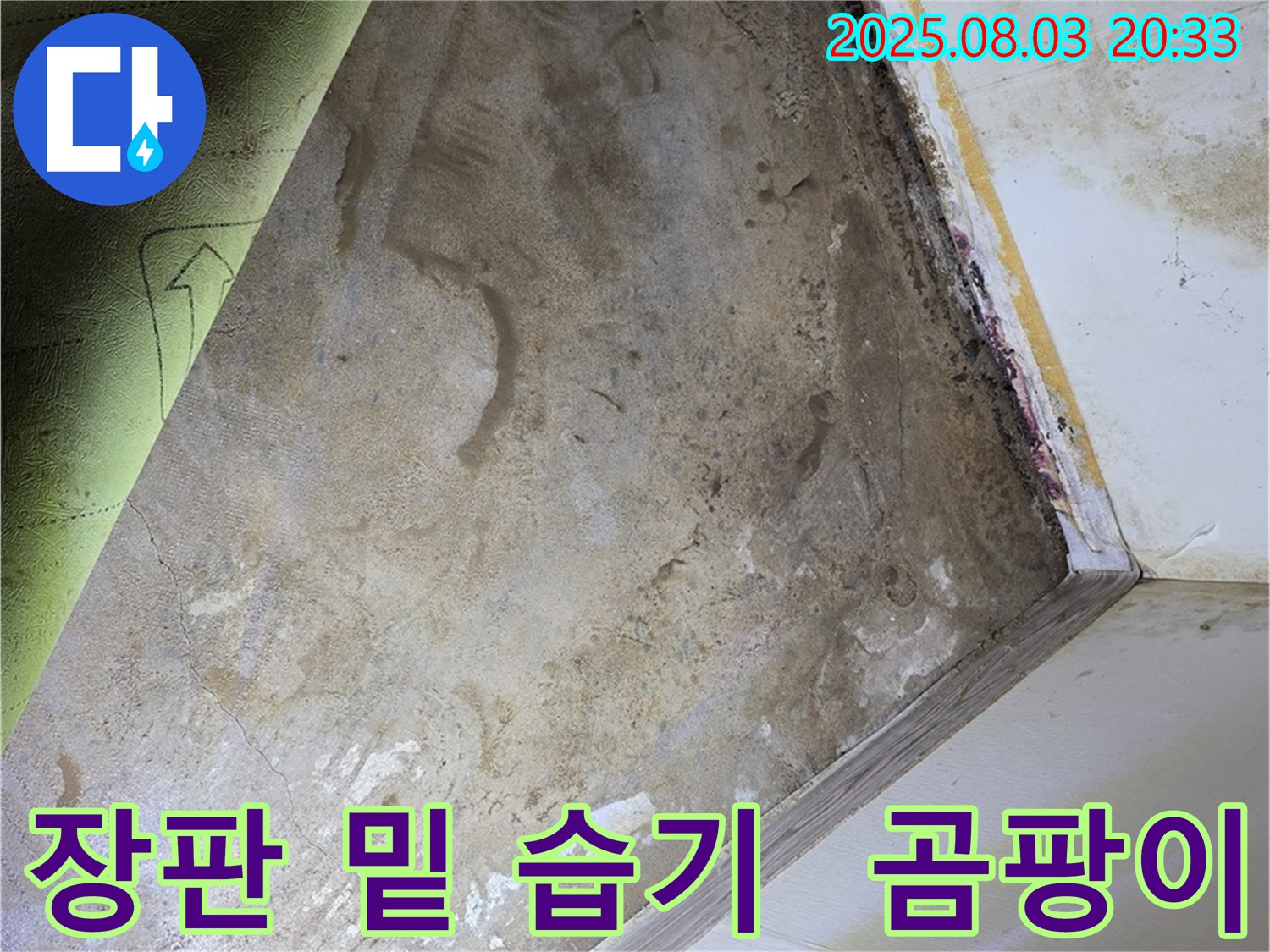 교남동 주택 - 장판 밑 습기, 곰팡이 발생