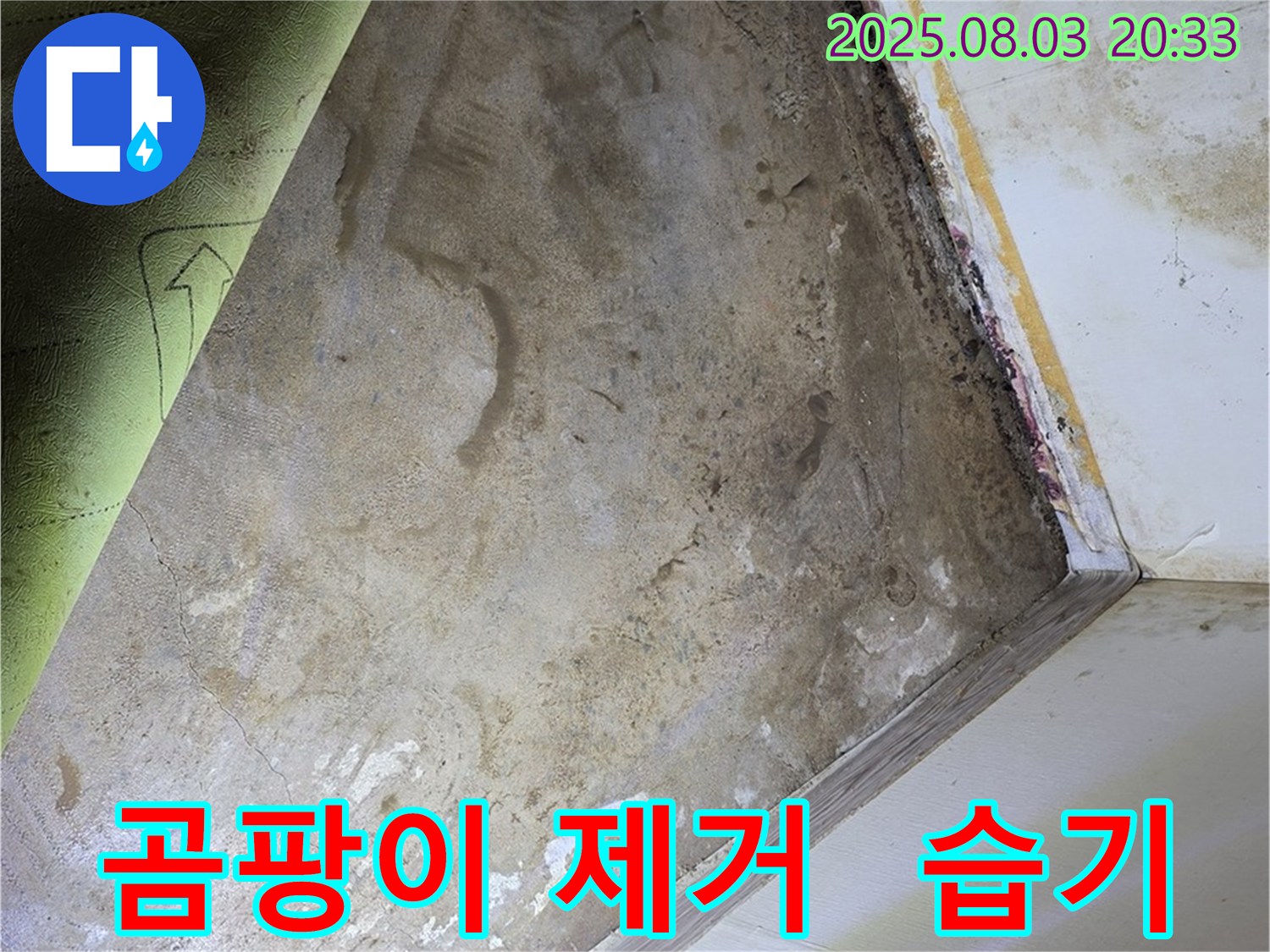궁정동 주택 - 곰팡이, 습기 제거 작업
