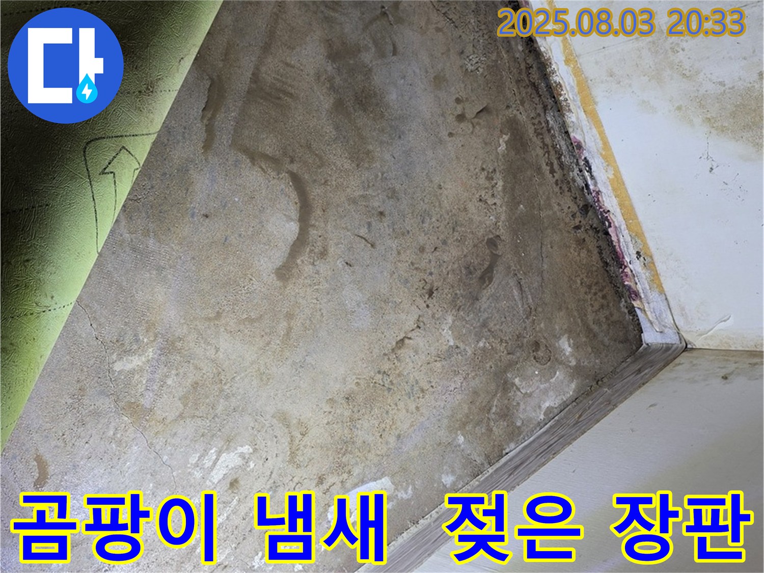 부암동 주택 - 곰팡이 냄새와 젖은 장판