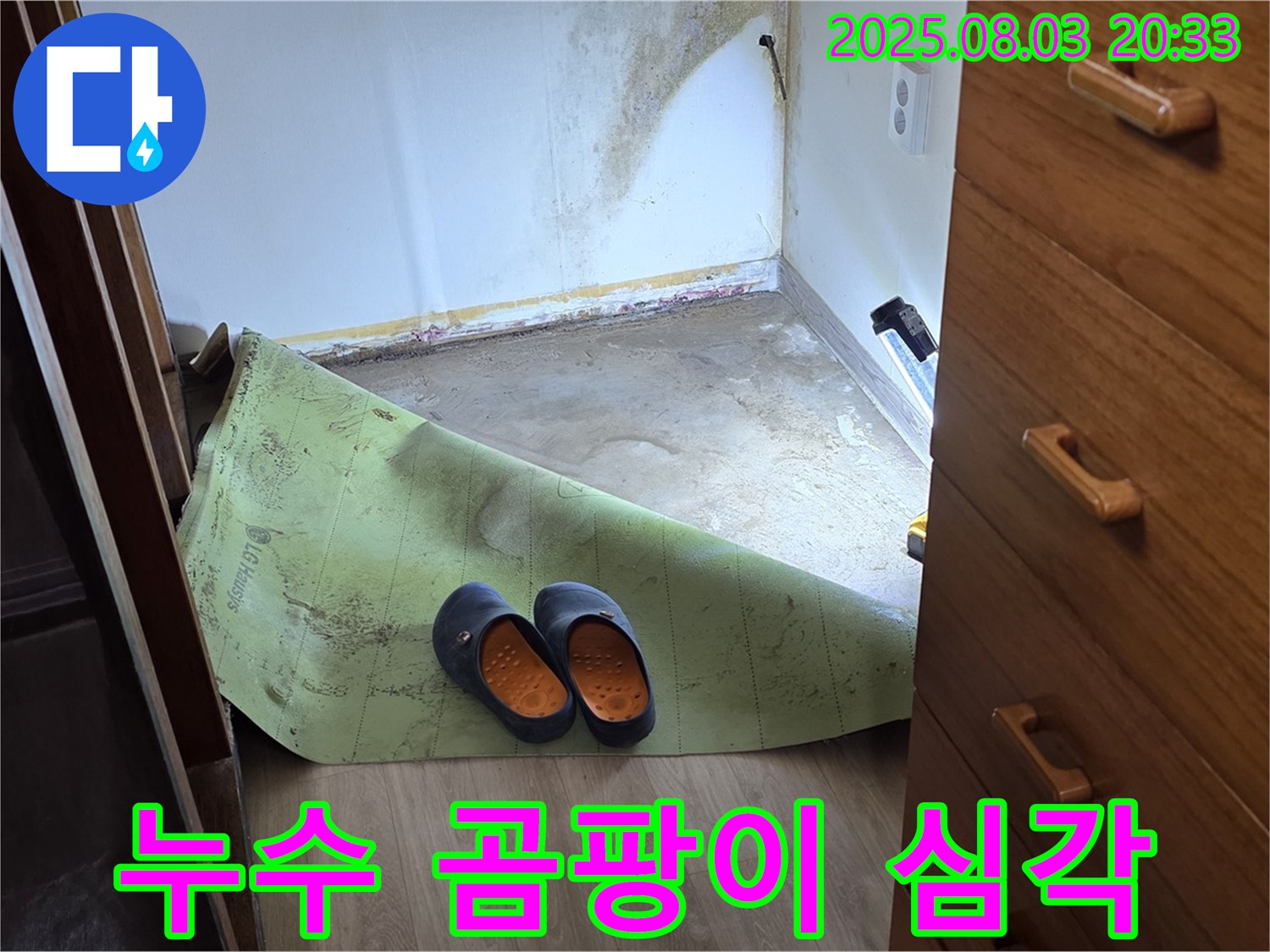심각한 곰팡이 - 누수로 인한 피해