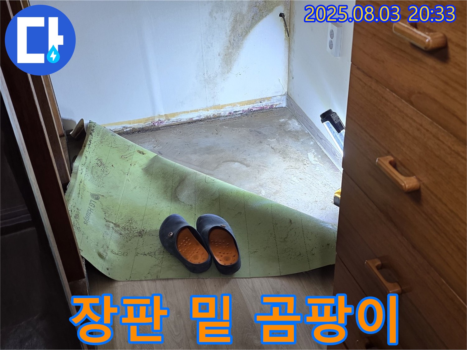 장판 밑 곰팡이 - 습기 가득