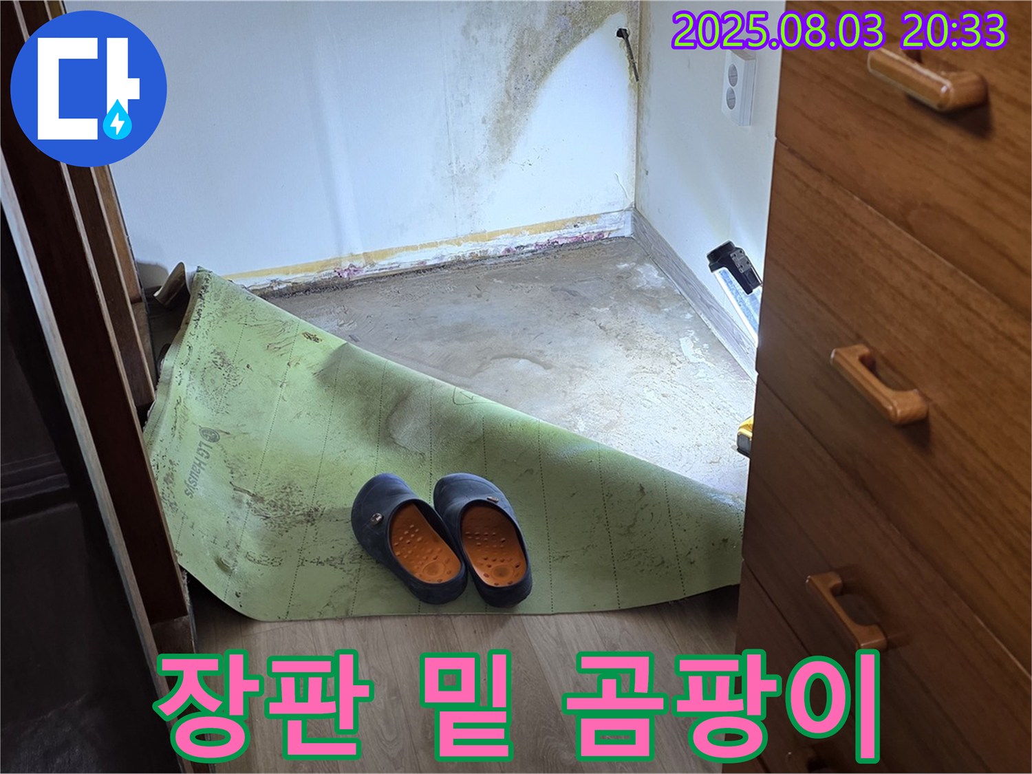 장판 밑 곰팡이 - 습기와 곰팡이