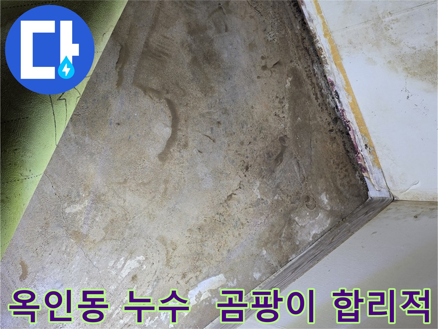 장판 밑 곰팡이 - 옥인동 합리적인 비용으로 문제 해결
