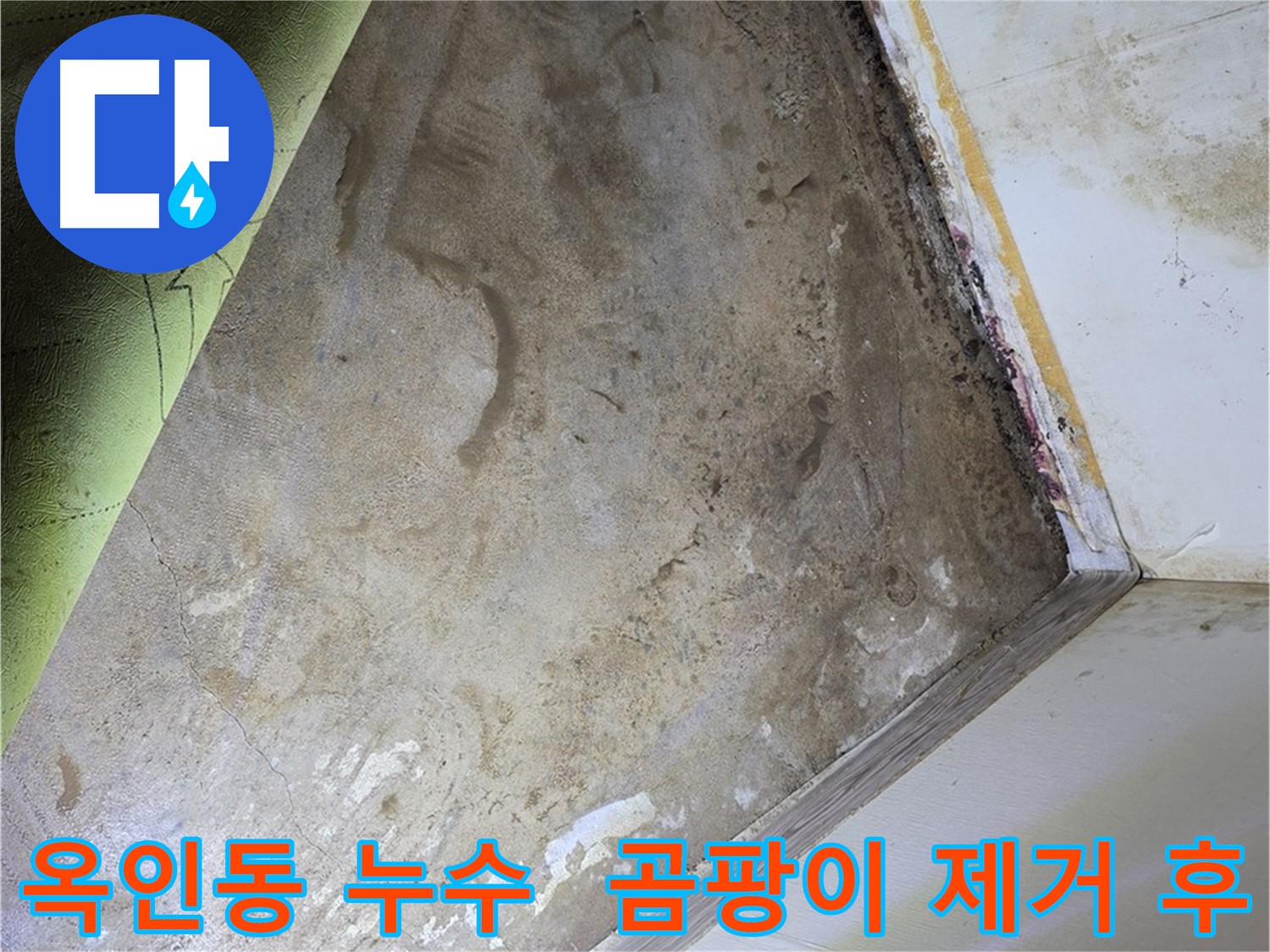 장판 밑 곰팡이 제거 - 옥인동 쾌적한 공간으로