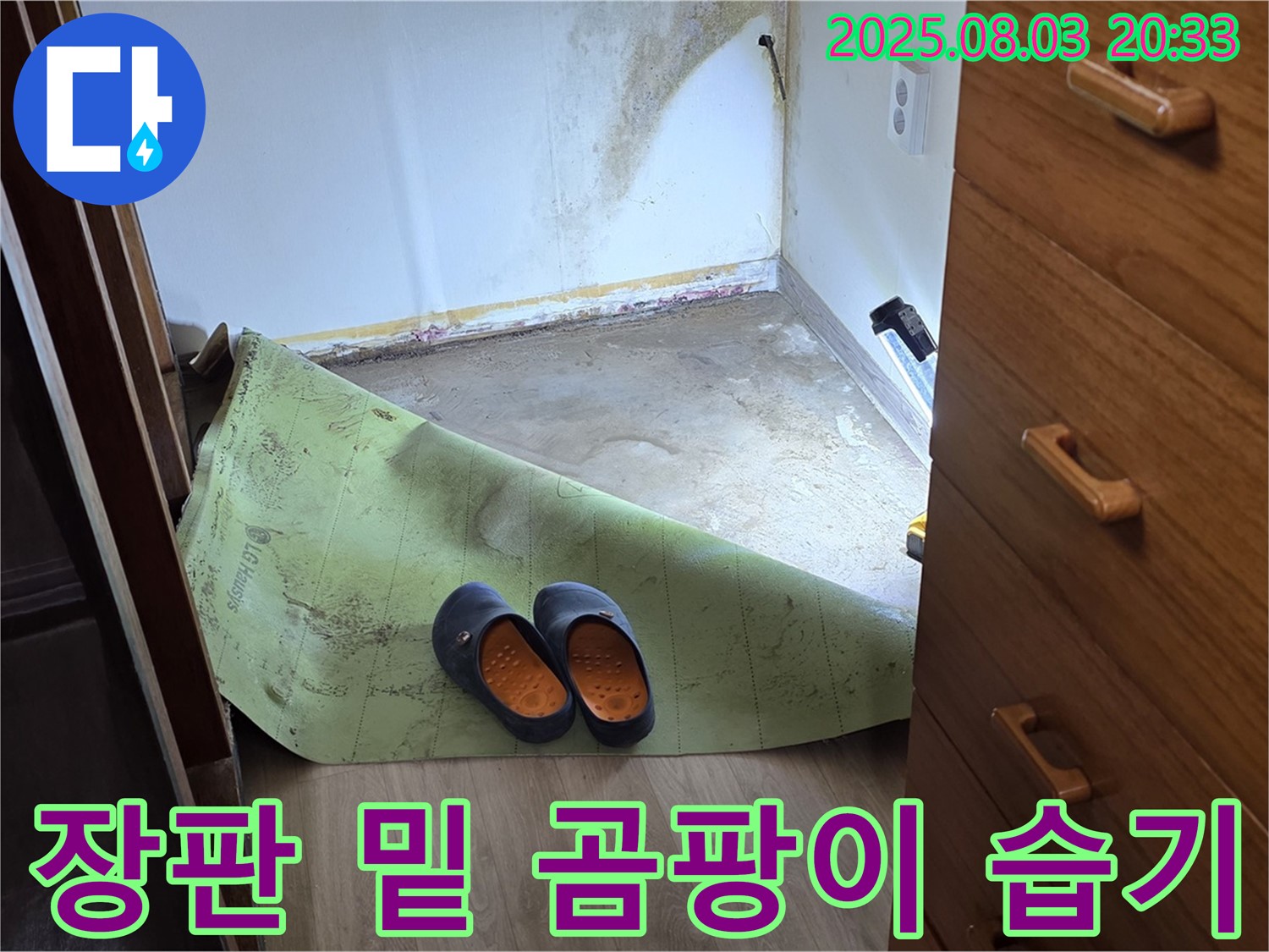 장판 밑 곰팡이와 습기 - 건강 위협