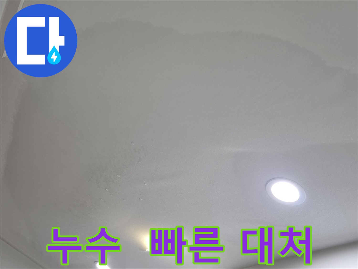 삼숭동 아파트 천장 누수 - 즉시 전문가 문의